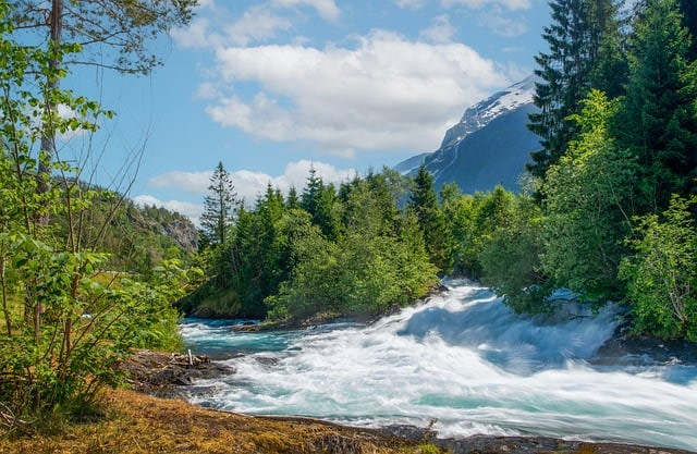 Eine Landschaft mit einem Fluss und Bäumen. Im Hintergrund ist ein Berg.