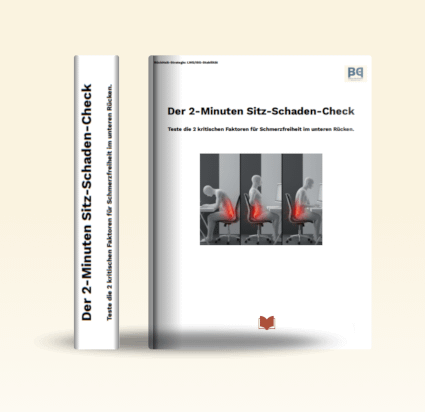 Cover Sitz-Schaden-Check