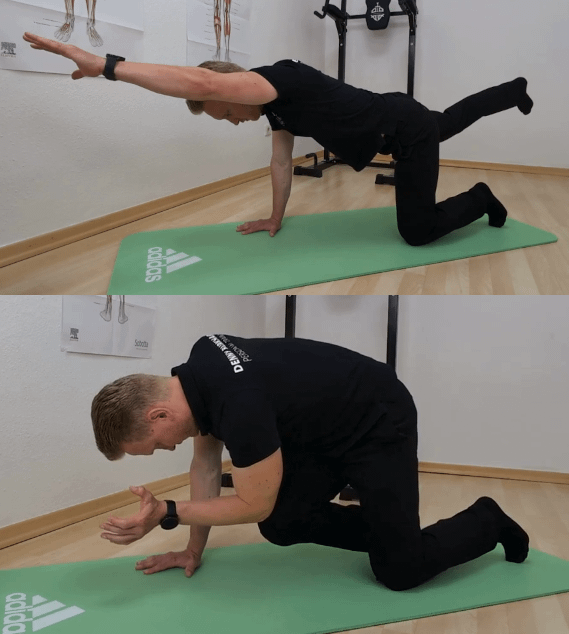 Hohlkreuz Frau attraktiv (Bird Dog): Denny ist im Vierfüßler und hat auf einem Bild den linken Arm und das diagonale Bein weggestreckt. Und auf dem Anderen Bild den linken Ellenbogen und das diagonale Knie zusammengeführt.