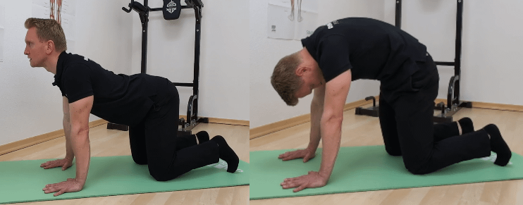 Denny steht im Vierfüßlerstand. Auf dem linken Bild sinkt der Bauch nach unten. Auf dem rechten Bild ist der Rücken gerundet.